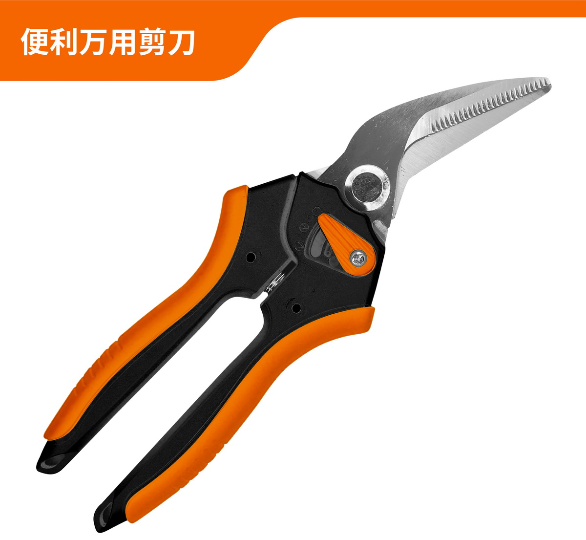 Convenient universal scissors